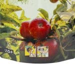 Juice bags with tap, 5 litres, LDPE - Image 3