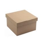 Micro-corrugated cardboard boxes 250x250x150mm with lid, brown, 14E
