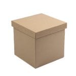 Micro-corrugated cardboard boxes 250x250x250mm with lid, brown, 14E